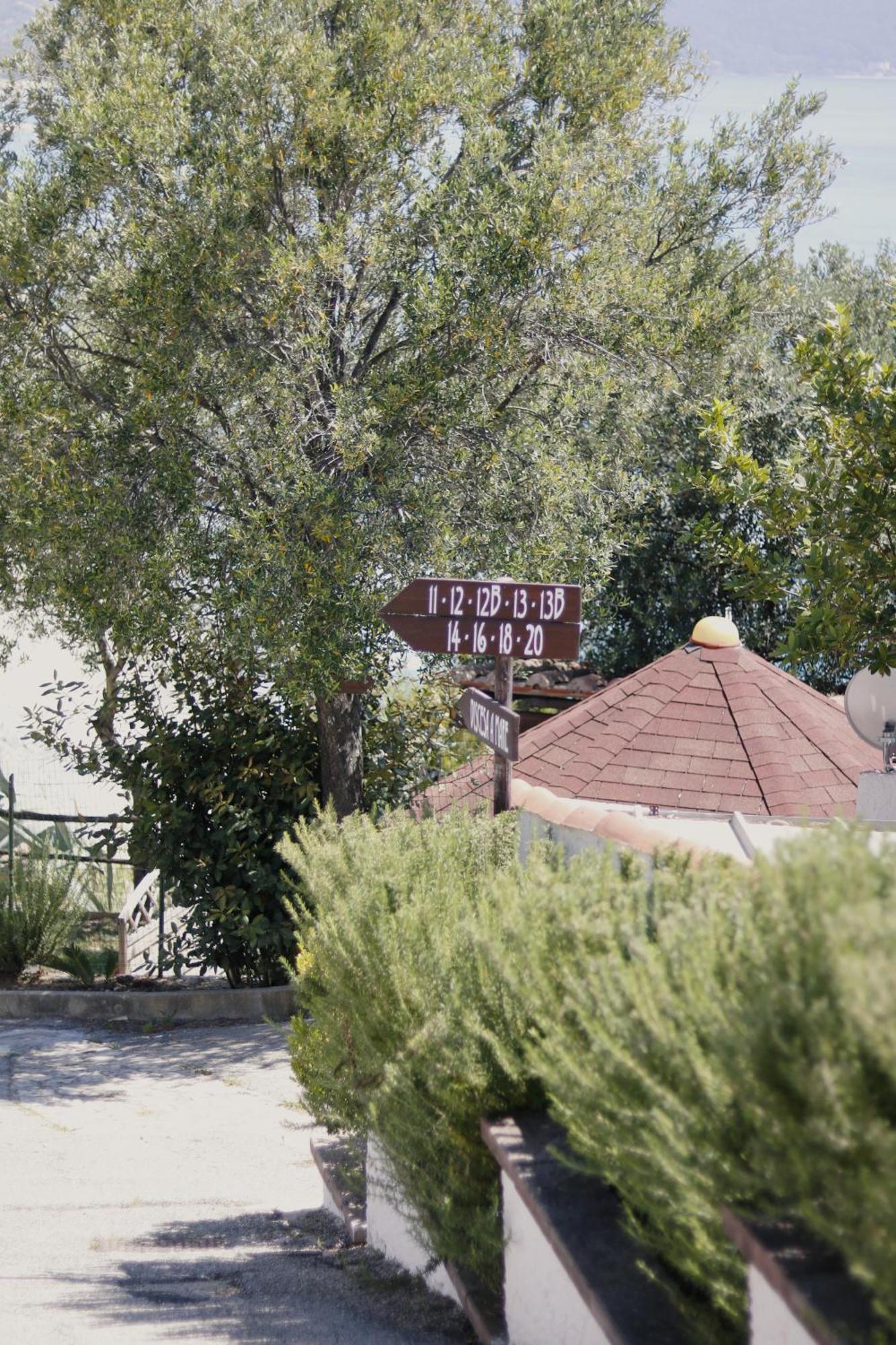 Residence Punta Cilento Pisciotta Esterno foto